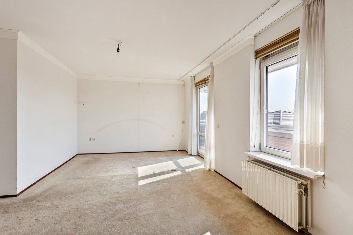 Foto 19 van de Hofnar 45