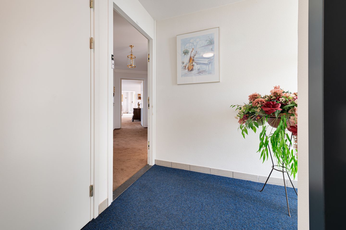 Foto 25 van de Hofnar 45