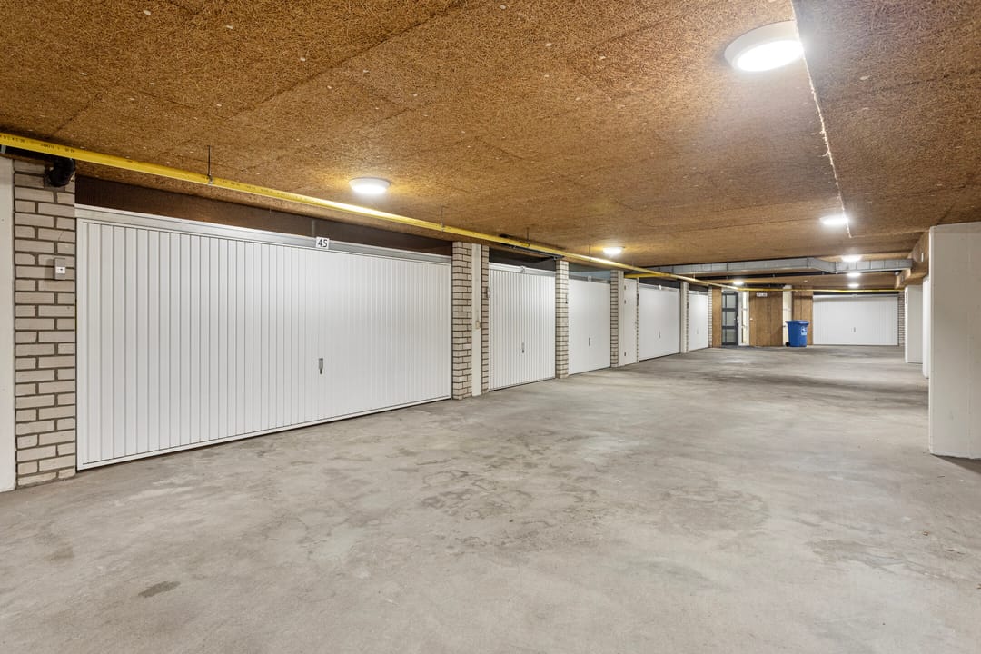 Foto 28 van de Hofnar 45