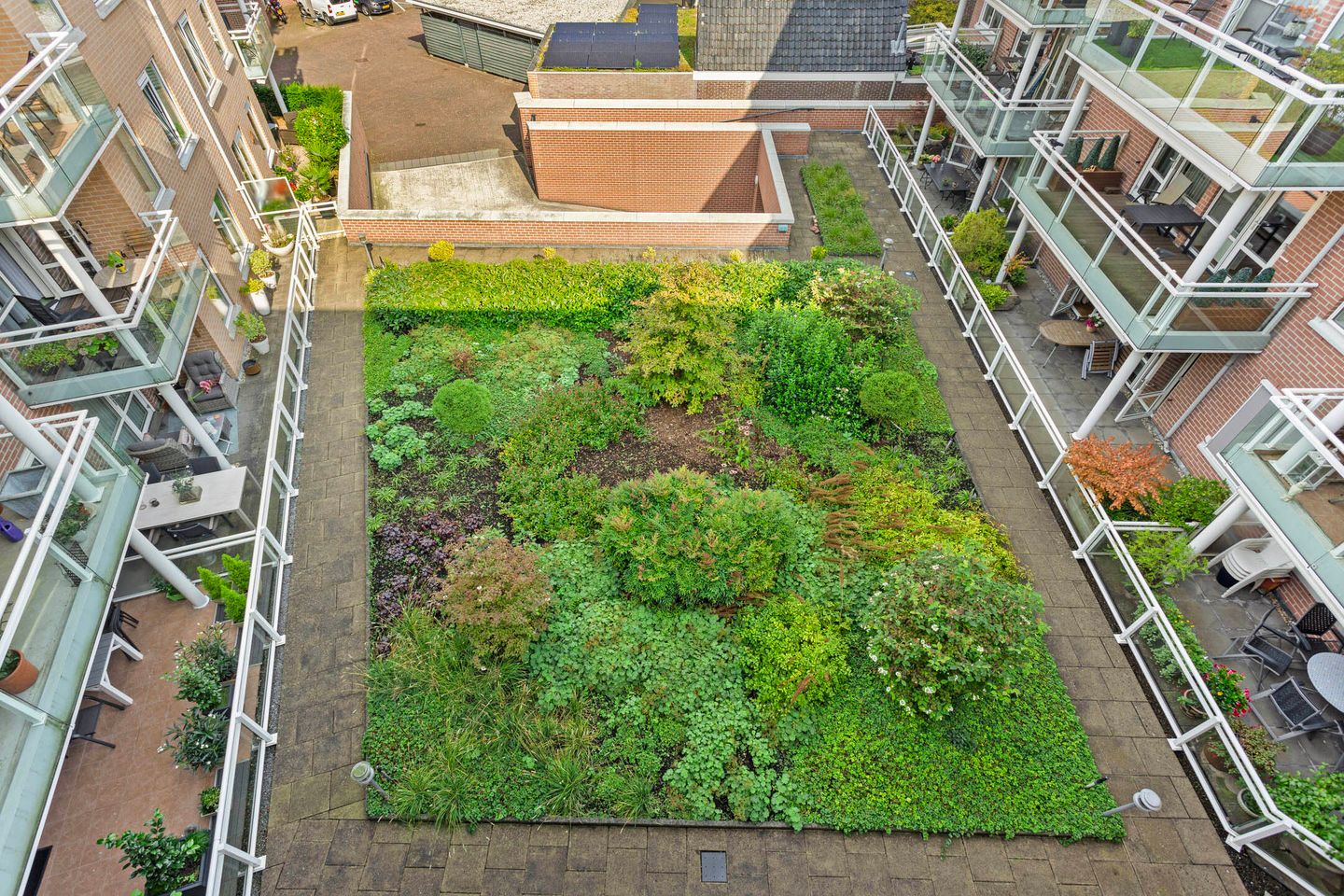 Foto 35 van de Hofnar 45