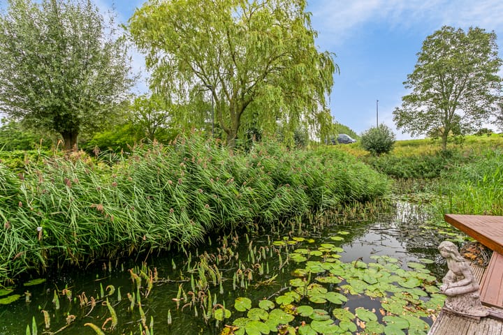 Foto 21 van Kalandermolen 41