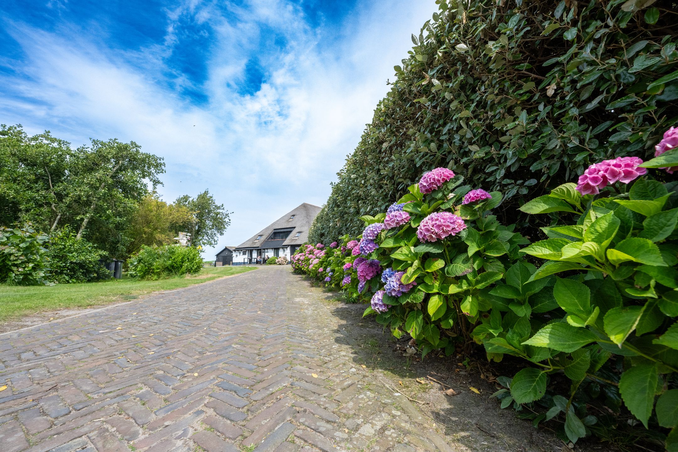 Foto 9 van Hoornderweg 36