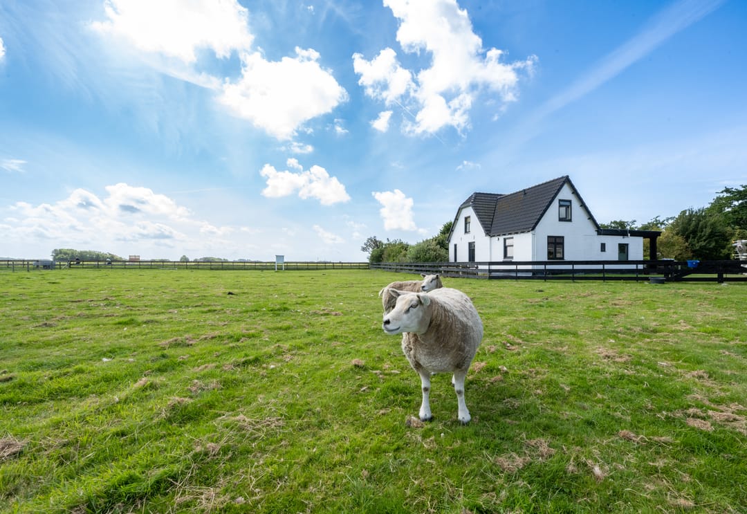 Foto 11 van Hoornderweg 36