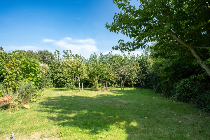 Photo 32 of Schilderend 121