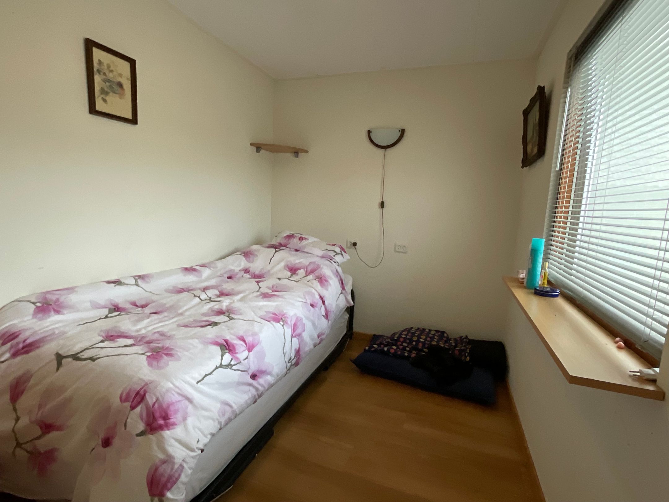 Photo 9 of Haspel 97-31