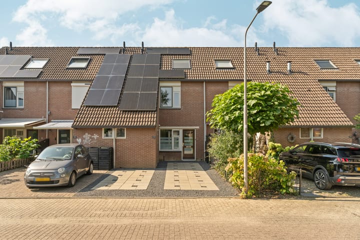 undefined main image