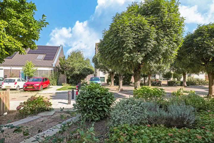 Foto 55 van Merelhof 7