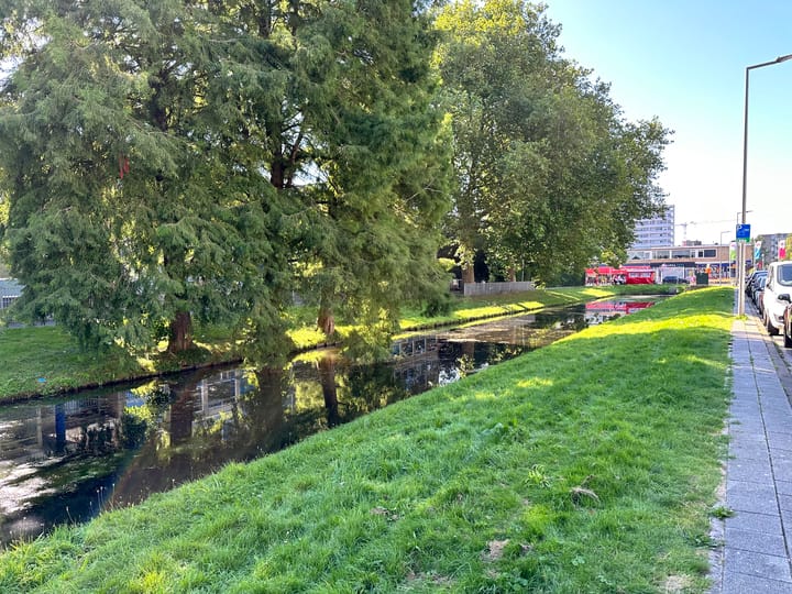 Foto 23 van Kerkwervesingel 241