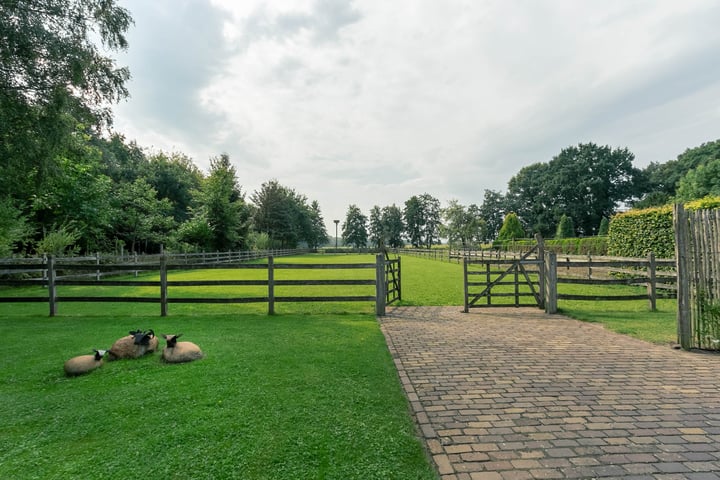 Bekijk foto 56 van Nieuwe Weteringseweg 58