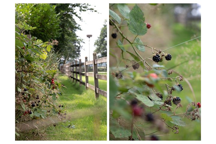 Bekijk foto 59 van Nieuwe Weteringseweg 58