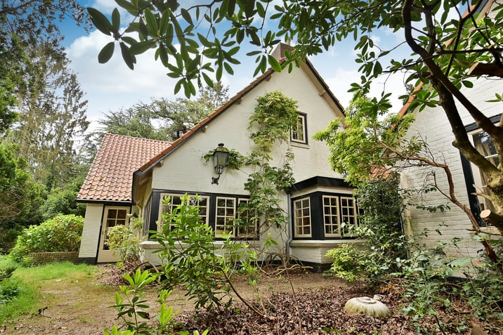 undefined main image