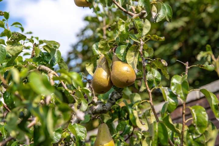 Foto 19 van Jeudestraat 14