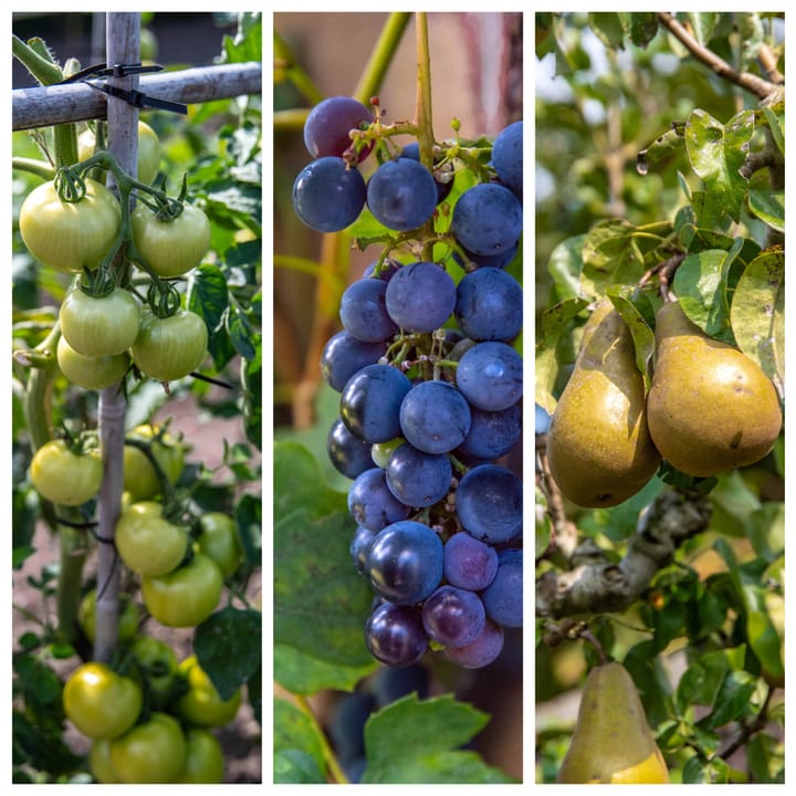 Foto 37 van Jeudestraat 14