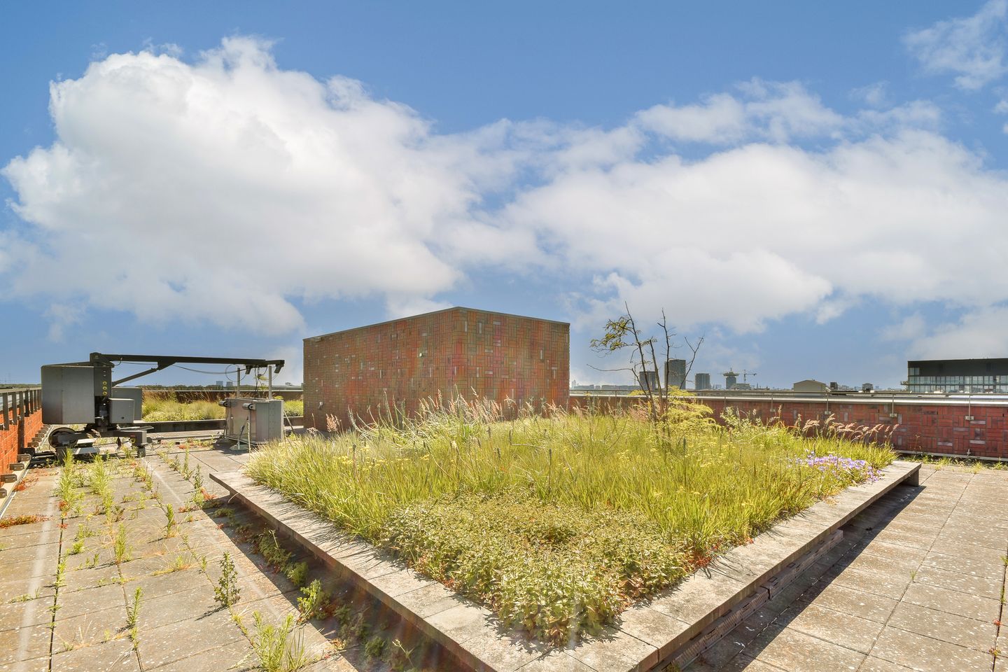 Photo 19 of Bosrankstraat 18