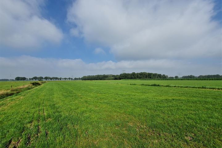 Nabij Heldenseweg, Neer