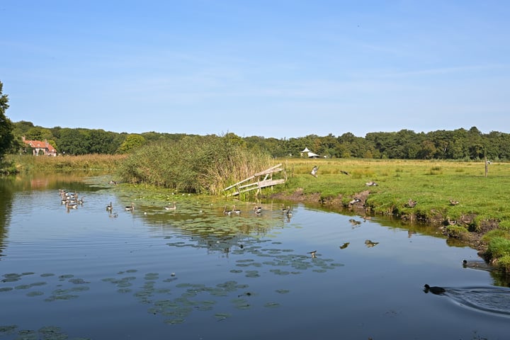 Bekijk foto 36 van Buurtweg 98