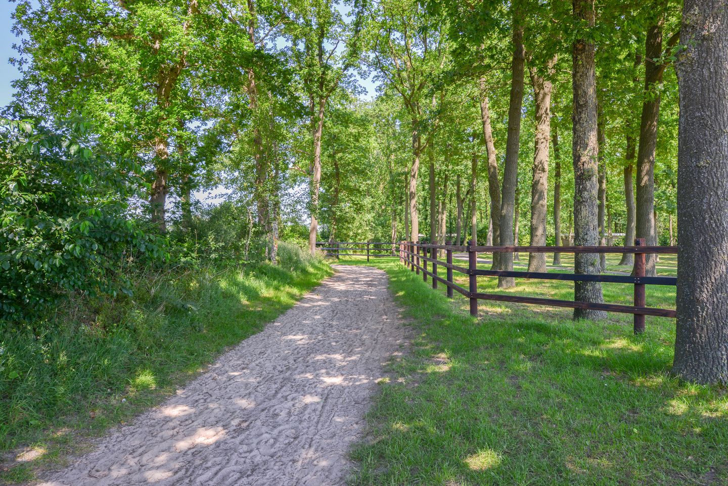 Photo 55 of De Gavere 1-A