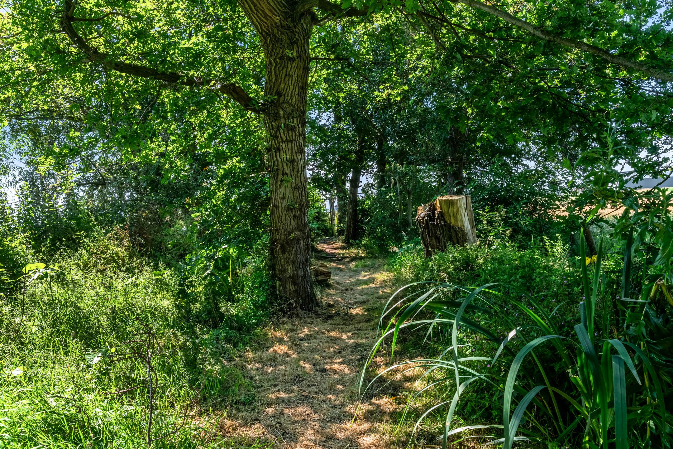 Foto 54 van Monnickendammerjaagweg 5