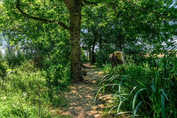 Photo 54 of Monnickendammerjaagweg 5