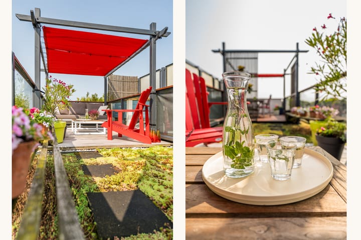 Foto 44 van Zandoever 8