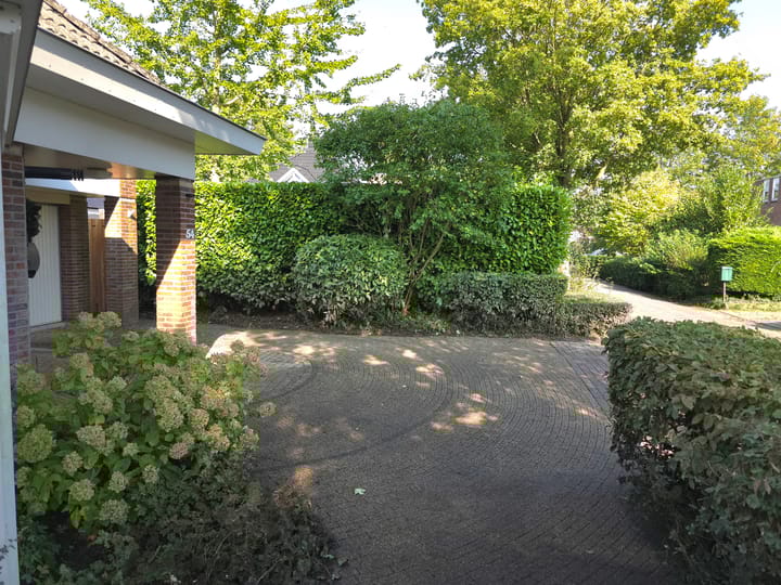 Foto 4 van Herfst 54