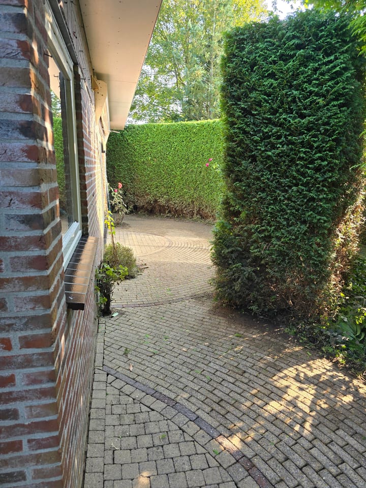 Foto 30 van Herfst 54