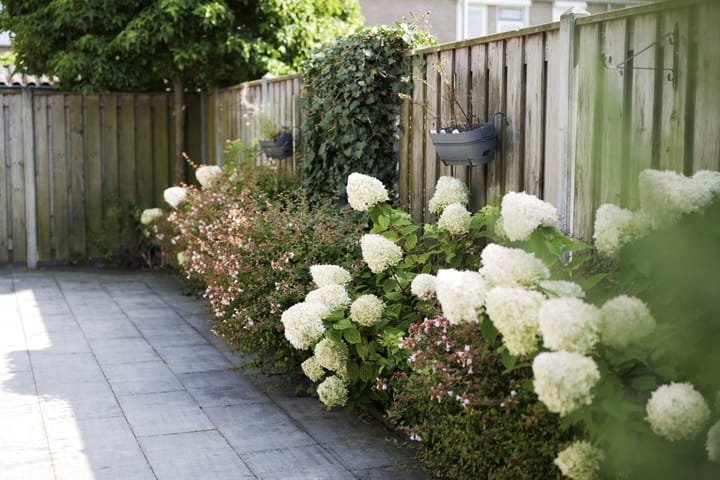 Foto 10 van Koningin Beatrixlaan 12