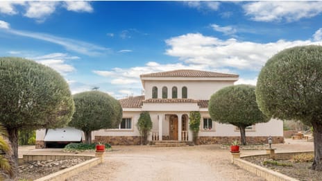 undefined main image