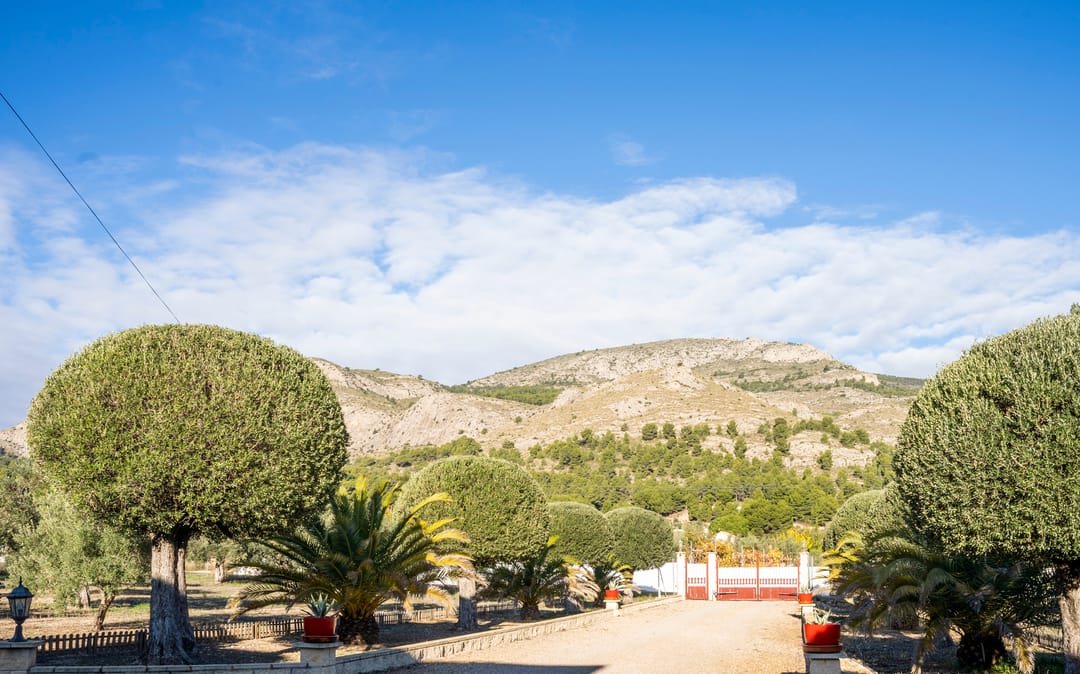 Foto 43 van Camino viejo de sax 52-56