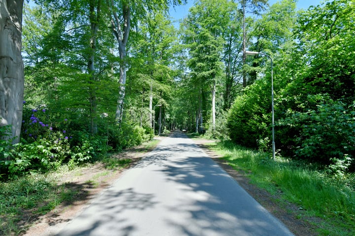 View photo 52 of Lochemseweg 54