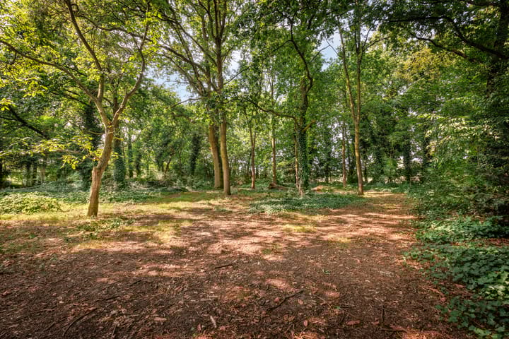 Foto 2 van Deutersestraat 1-A