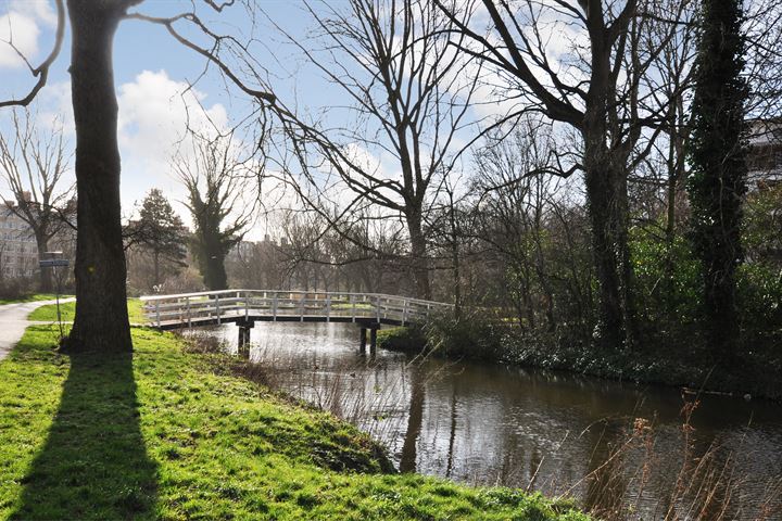 View photo 38 of Cederstraat 42