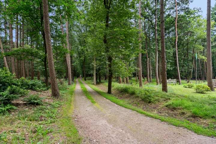 Foto 5 van Boslaan 67