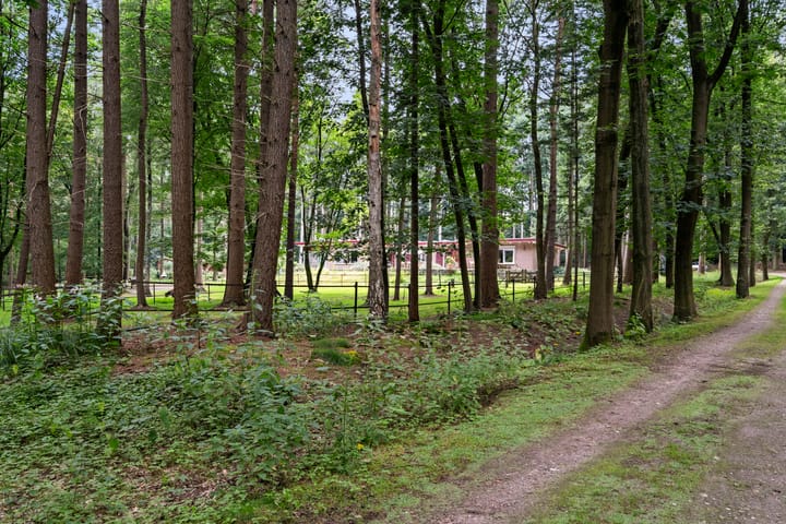 Foto 79 van Boslaan 67