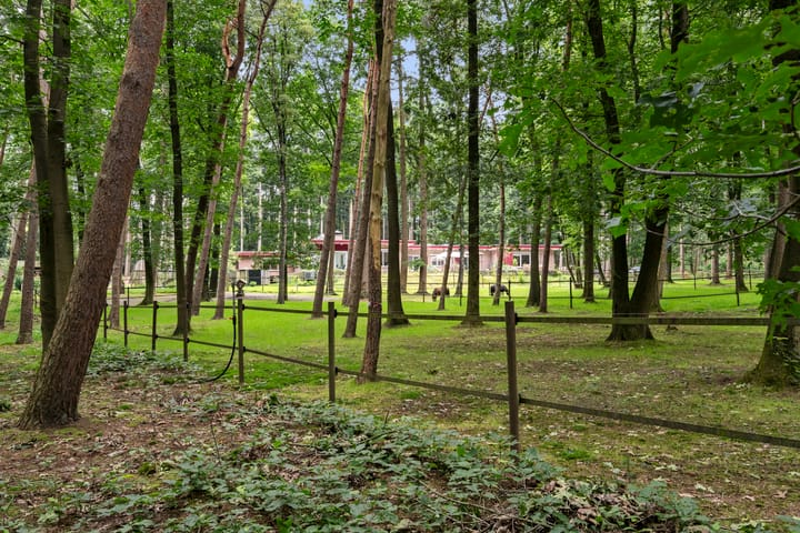 Foto 81 van Boslaan 67