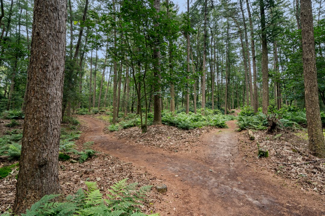 Foto 82 van Boslaan 67