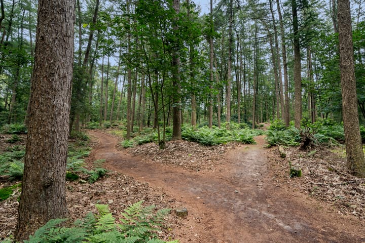 Foto 82 van Boslaan 67