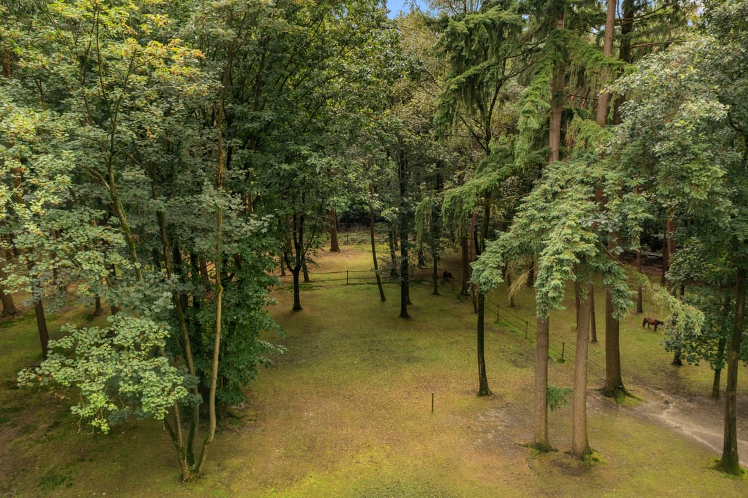 Foto 83 van Boslaan 67