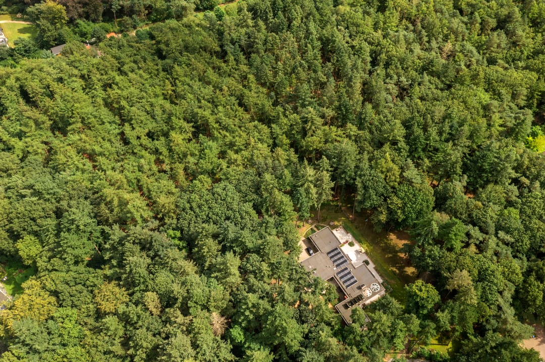 Foto 86 van Boslaan 67