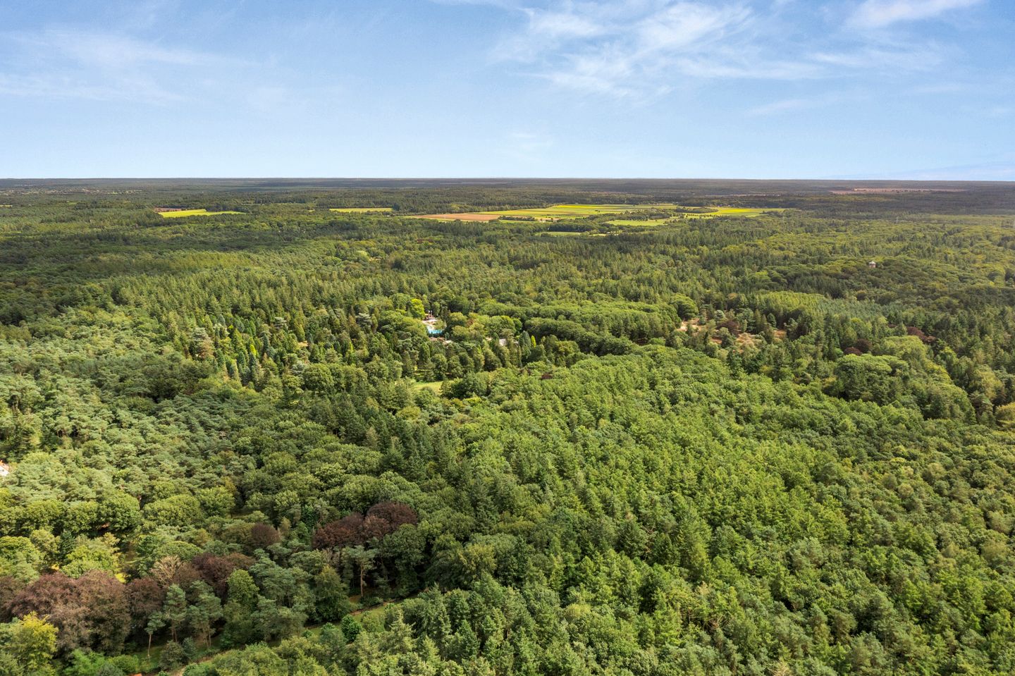 Foto 4 van Boslaan 67