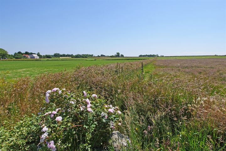 Bekijk foto 12 van Schilderweg 160