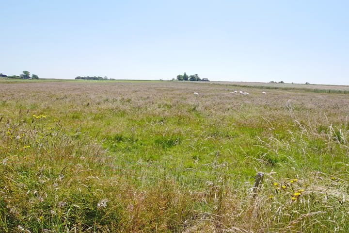 Foto 16 van Schilderweg 160