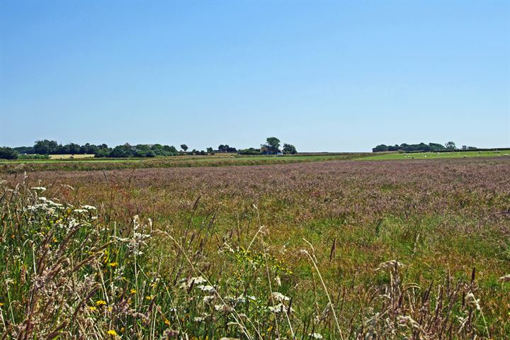 Bekijk foto 63 van Schilderweg 160