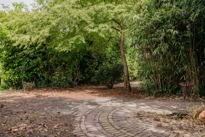 Foto 4 van Warder 170