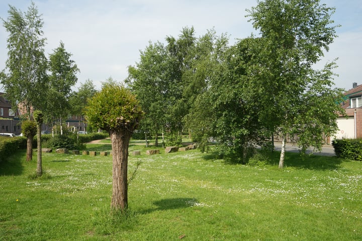 Bekijk foto 37 van Slottuin 108