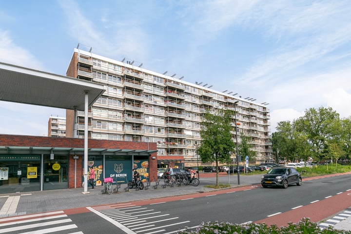 Bekijk foto 40 van Pelikaanhof 114