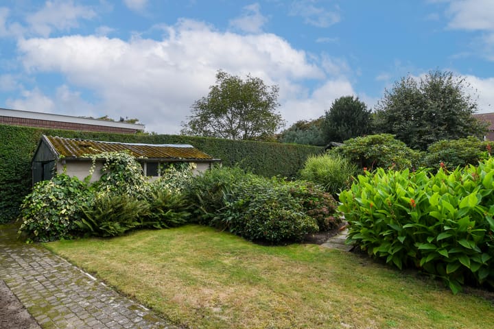 Foto 57 van Ruijsstraat 8