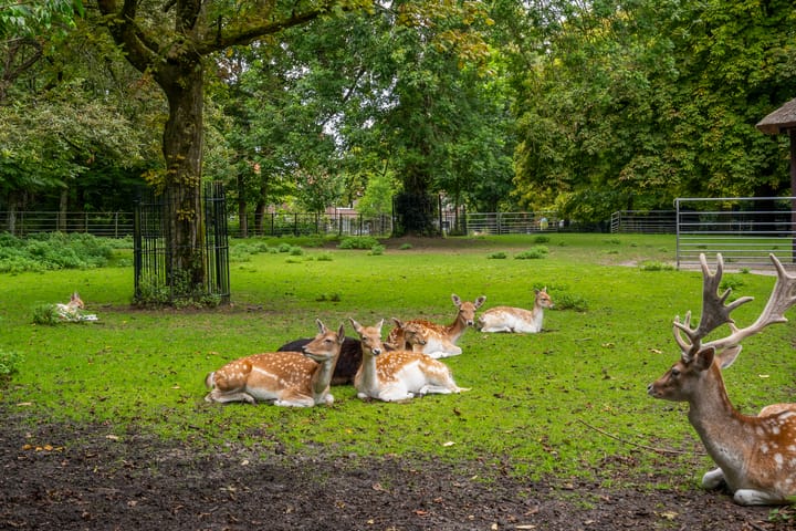 Foto 46 van Dubbeldamseweg Noord 36