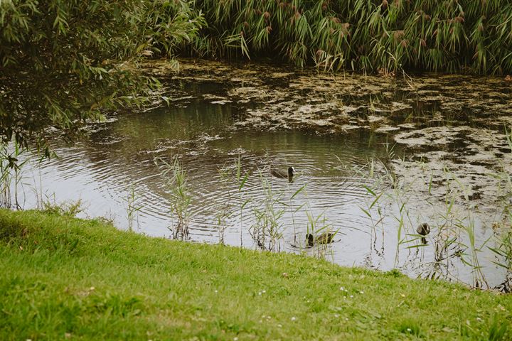 Bekijk foto 53 van Polderzicht 15