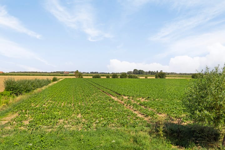 Foto 2 van Reusensestraat 30